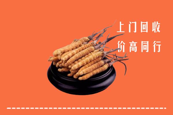 高价求购：瓜州县回收散虫草