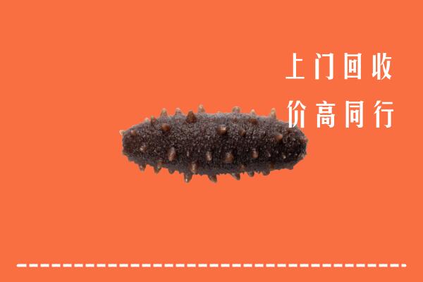 高价求购：瓜州县回收海参