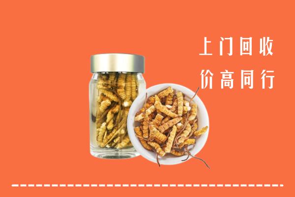 瓜州县回收冬虫夏草