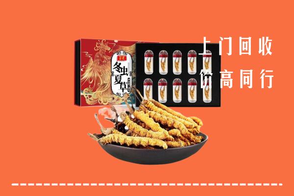瓜州县回收虫草